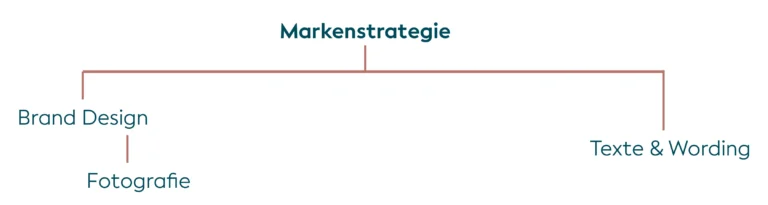 Reihenfolge der Schritte bei der Entwicklung einer Marke - Schritt 4 Fotografie