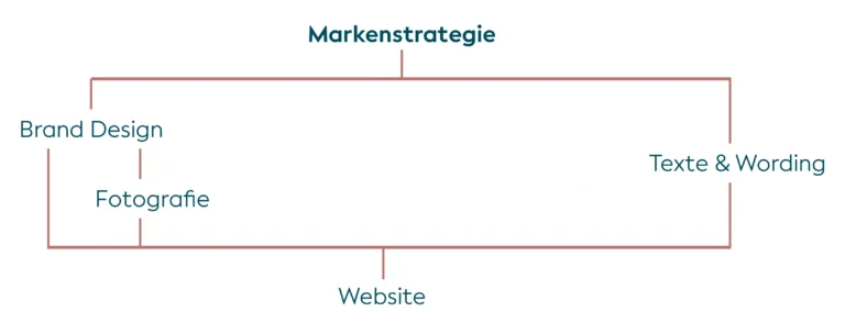 Reihenfolge der Schritte bei der Entwicklung einer Marke - Schritt 5 Website